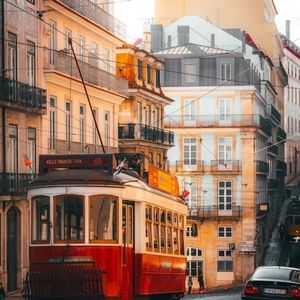 Meet your Posher, Kitty